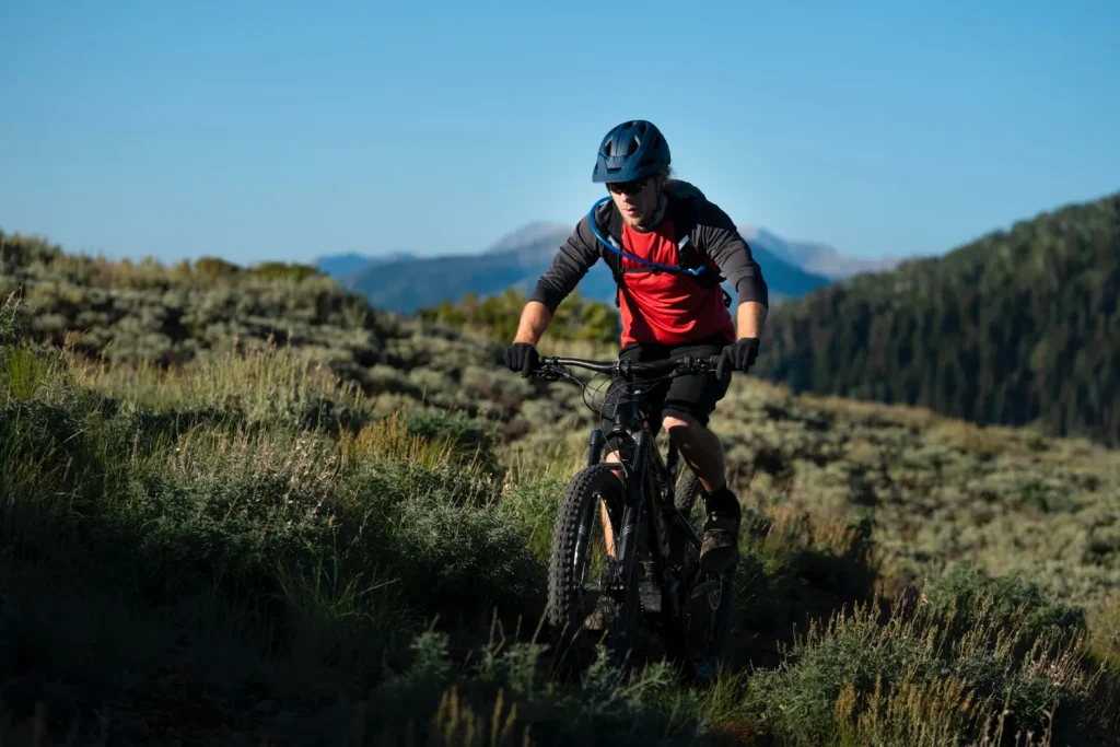 Rower elektryczny mtb